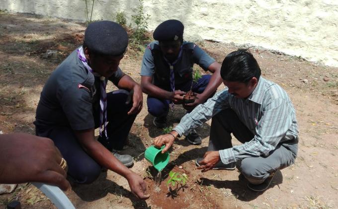 Asst. secretary service for tree plantation 