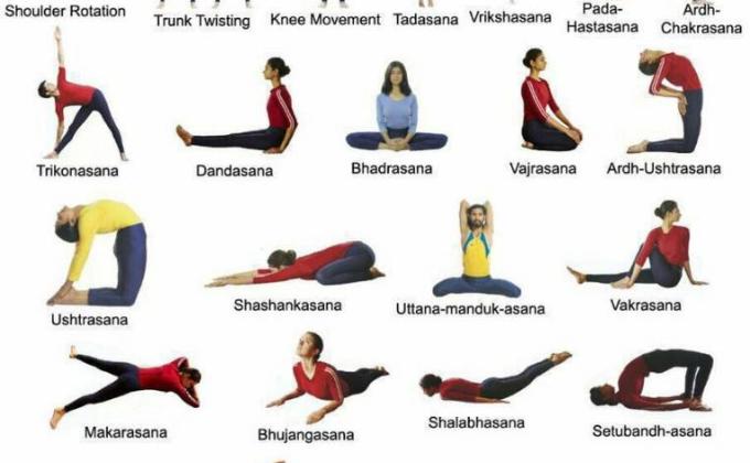 Yoga  creations 