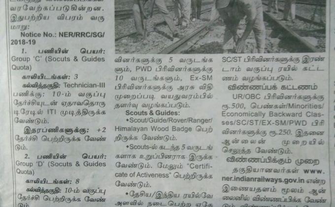 Job for scouts students 