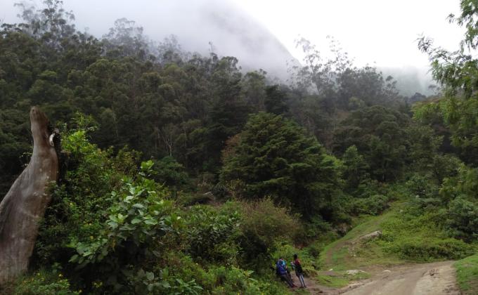 Taita Hills Expedition