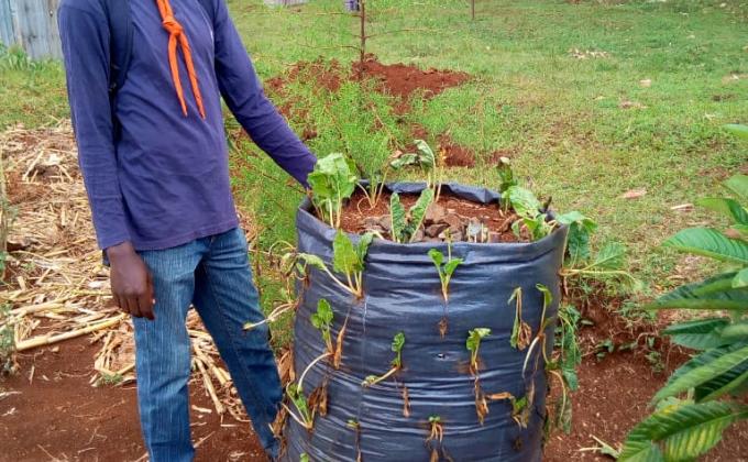 Assessment of Smart Agriculture Project at Kenya,Kisii region