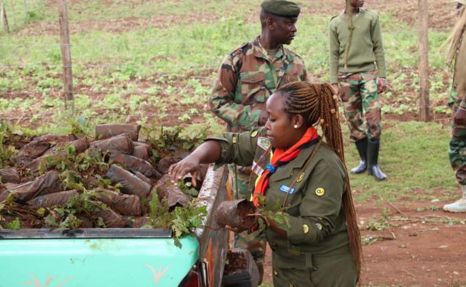 Tree planting at Kibiko Forest In Kajiado County