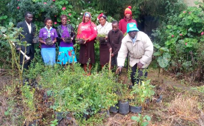 The Brown Olive Project.