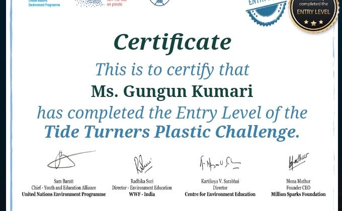 #plastictideturnerschallenge