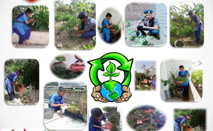 nature is the best friend of the World 