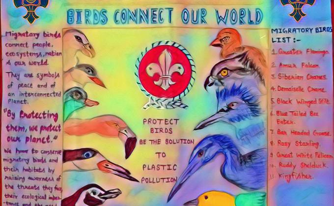 Birds Connect Our World  