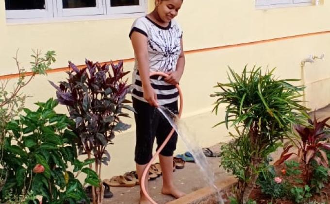 Maintain greeness in my home garden