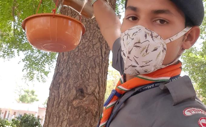 परिंडे लगाते हुए
