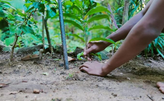 Planting a plant for World Environmet Day
