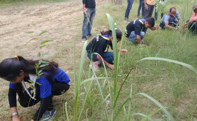 Plantation Program