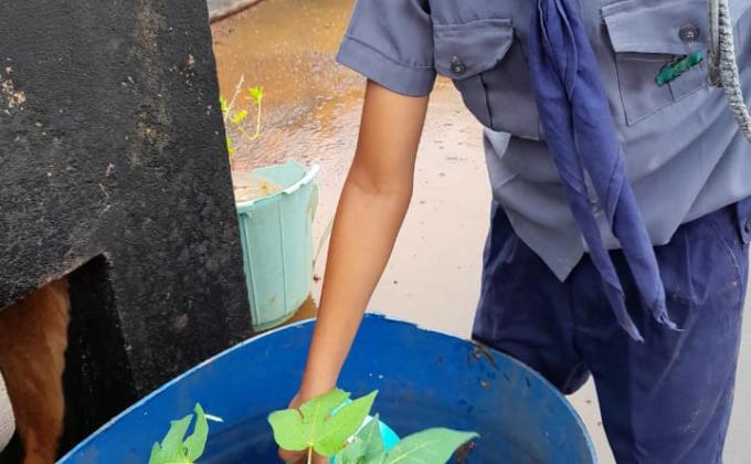 Planting and watering plants and trees