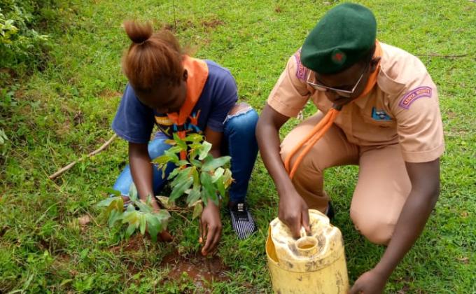 Environmental Conservation