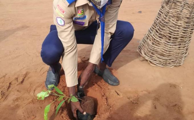 journée internationale de l'arbre