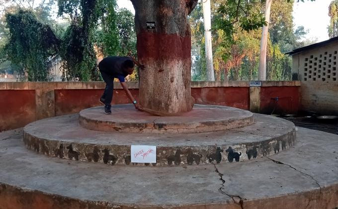 Cleaness Program