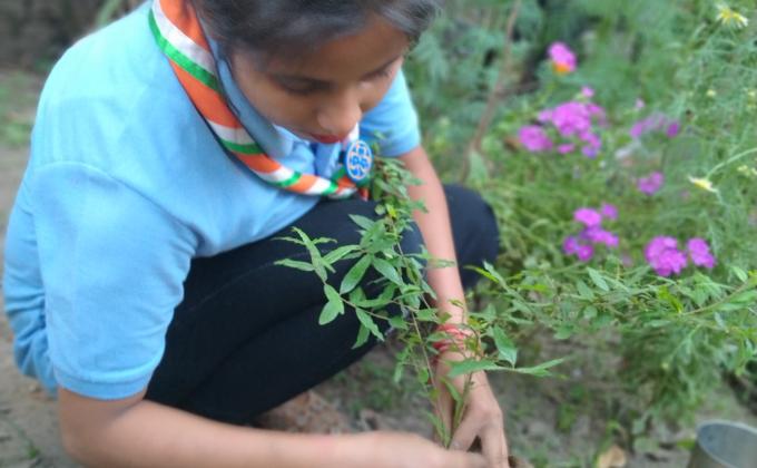 #Go organic