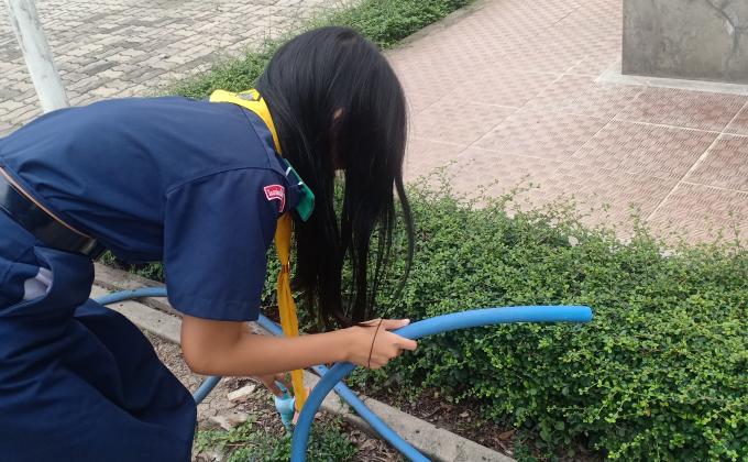 รดน้ำต้นไม้ในวิลัย