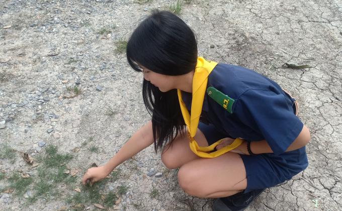 เด็ดหญ้าในวิลัย