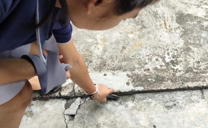 เก็บขยะ