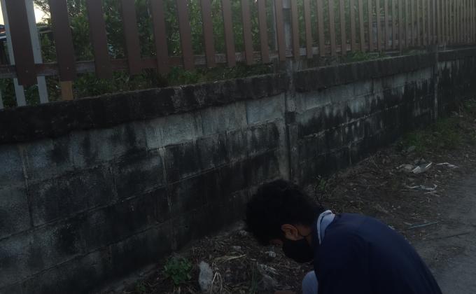 เก็บขยะ