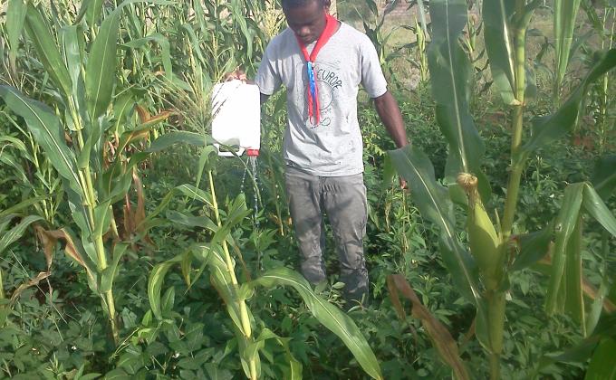 We Have Food - thanks to Scouting Skills