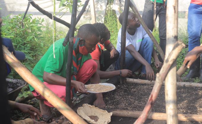 AMENAGEMENT D'UN GERMOIRE DE 10.000 ARBRES PAR 30 PAIRS ECOLOGISTES EN VILLE DE GOMA 
