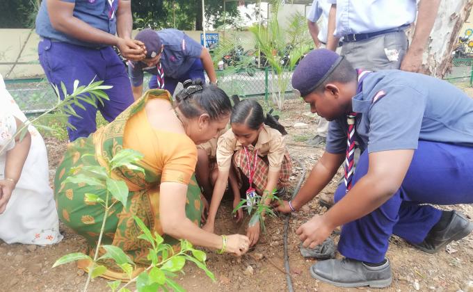 world environment day