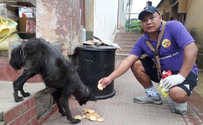 FEEDING STREET DOGS