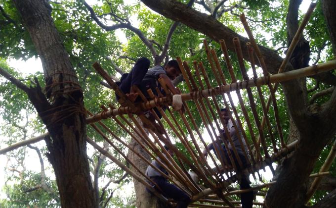Overnight Adventure Tree Top Shelter