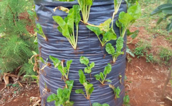 SMART FARMING