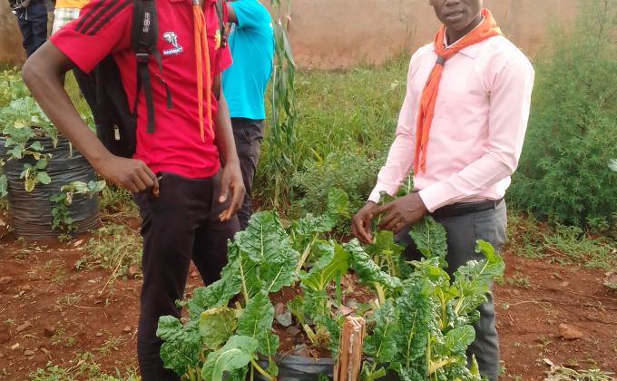 Smart agriculture done rovers.