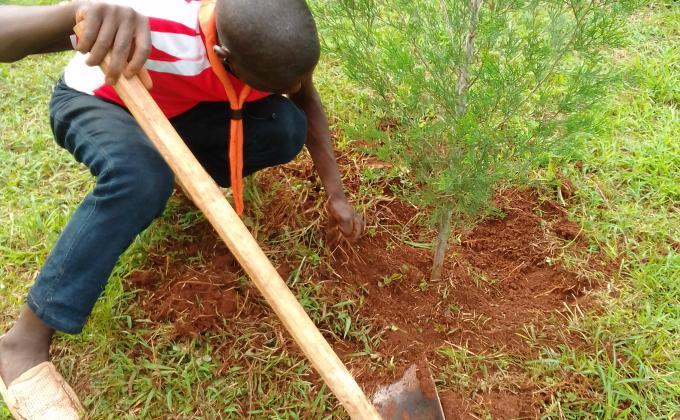 world environment day