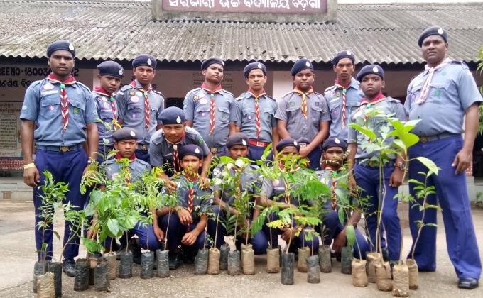plantation programme 