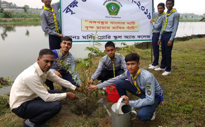 Tree plantation 