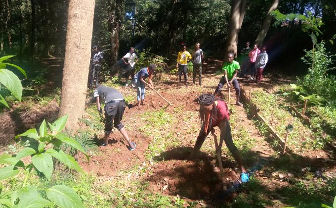 Service hours in environmental conservation
