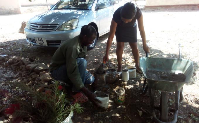 Zambia Scouts Secretariat Start Tree Planting Campaign