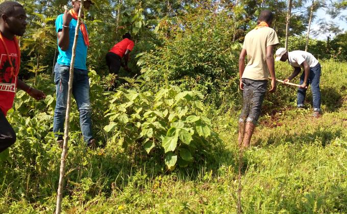 SCOUTS CONSERVING THE ENVIRONMENT BY WEEDING THE BAMBOOS ALONG THE RIPARIAN AREAS.