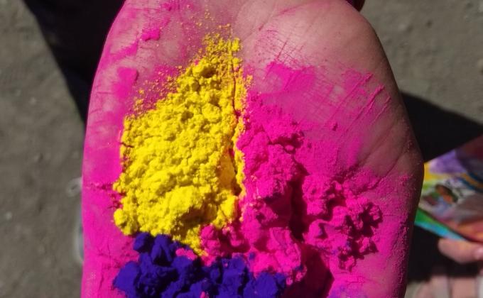 holi celebration 
