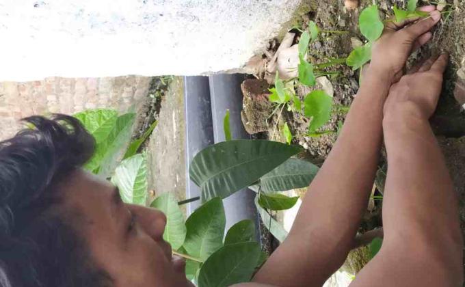 Environment & Sustainability Challenge 4 – #Goorganic
