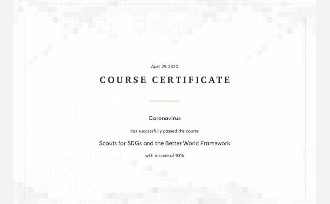 Digital Scouting Guiding Challenge 2 – #E-Learning