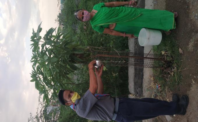 Plants protection and watering during summer and covid19 lockdown