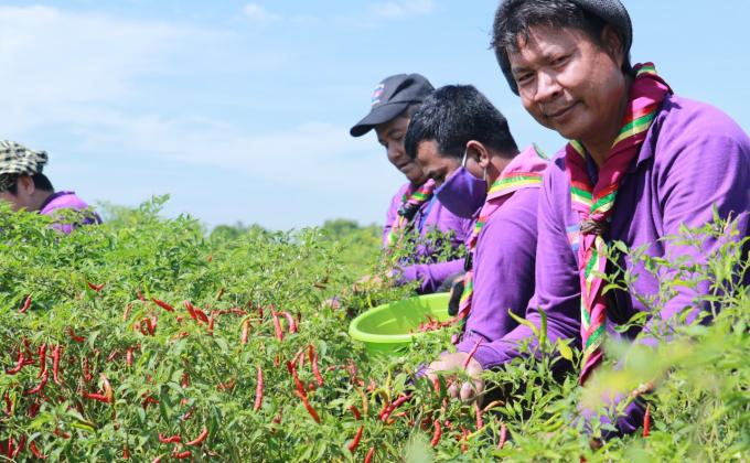 The Cambodia Scouts