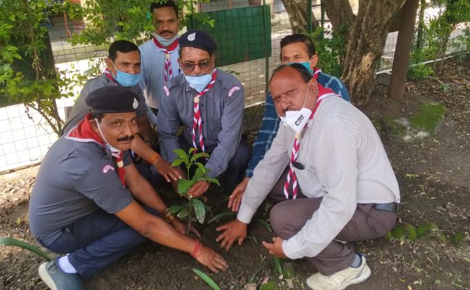 Plantation and MissCopy Day was celebrated