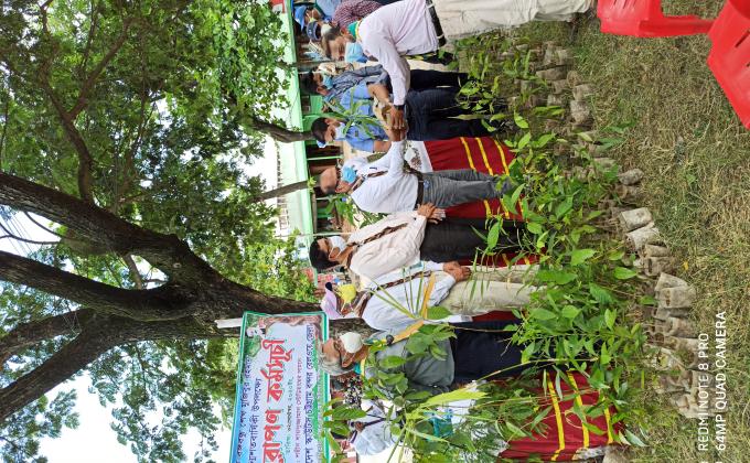 বৃক্ষ রোপন কর্মসূচী