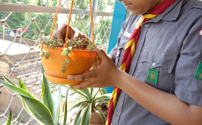 International day of peace day activities 