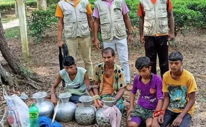 পাখি মাড়ার অপরাধ 