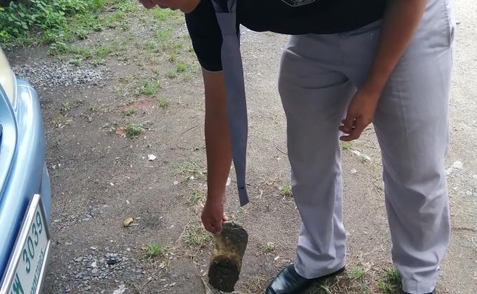 เก็บขยะ