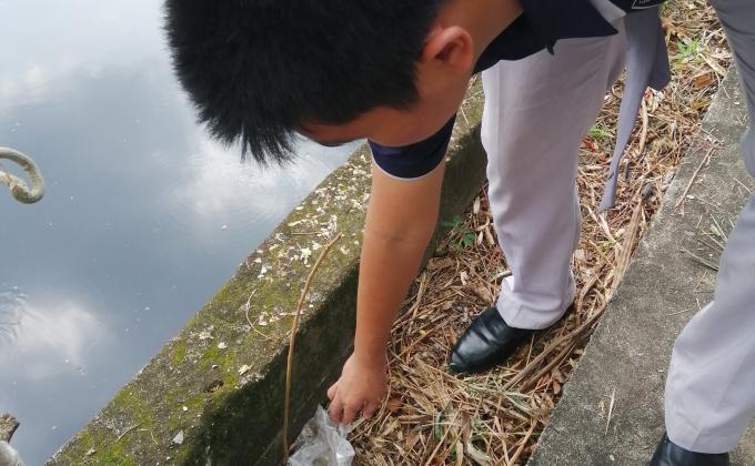 เก็บขยะ