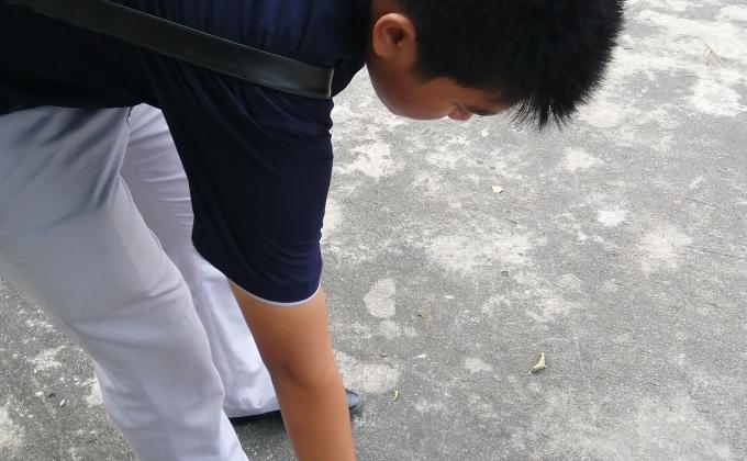 เก็บขยะ