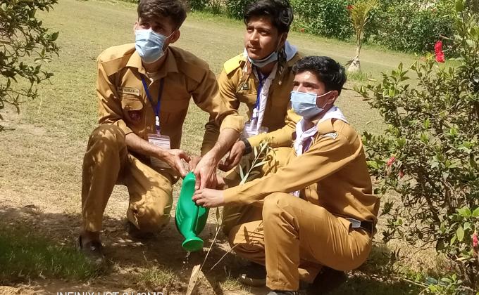 plant is very important for life  and for land aik to yeh mahool yani environment ko saaf rakta hai aur bhe bht faida hai plant ka