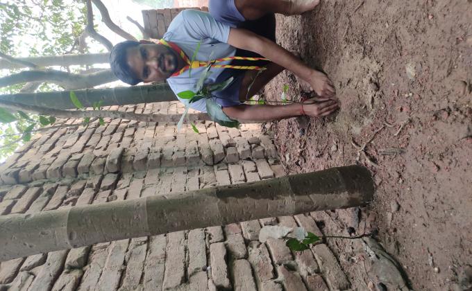 বৃক্ষরোপণ কর্মসূচি 2020